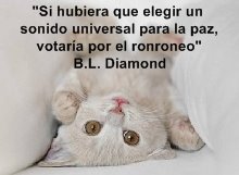 B.L. Diamond