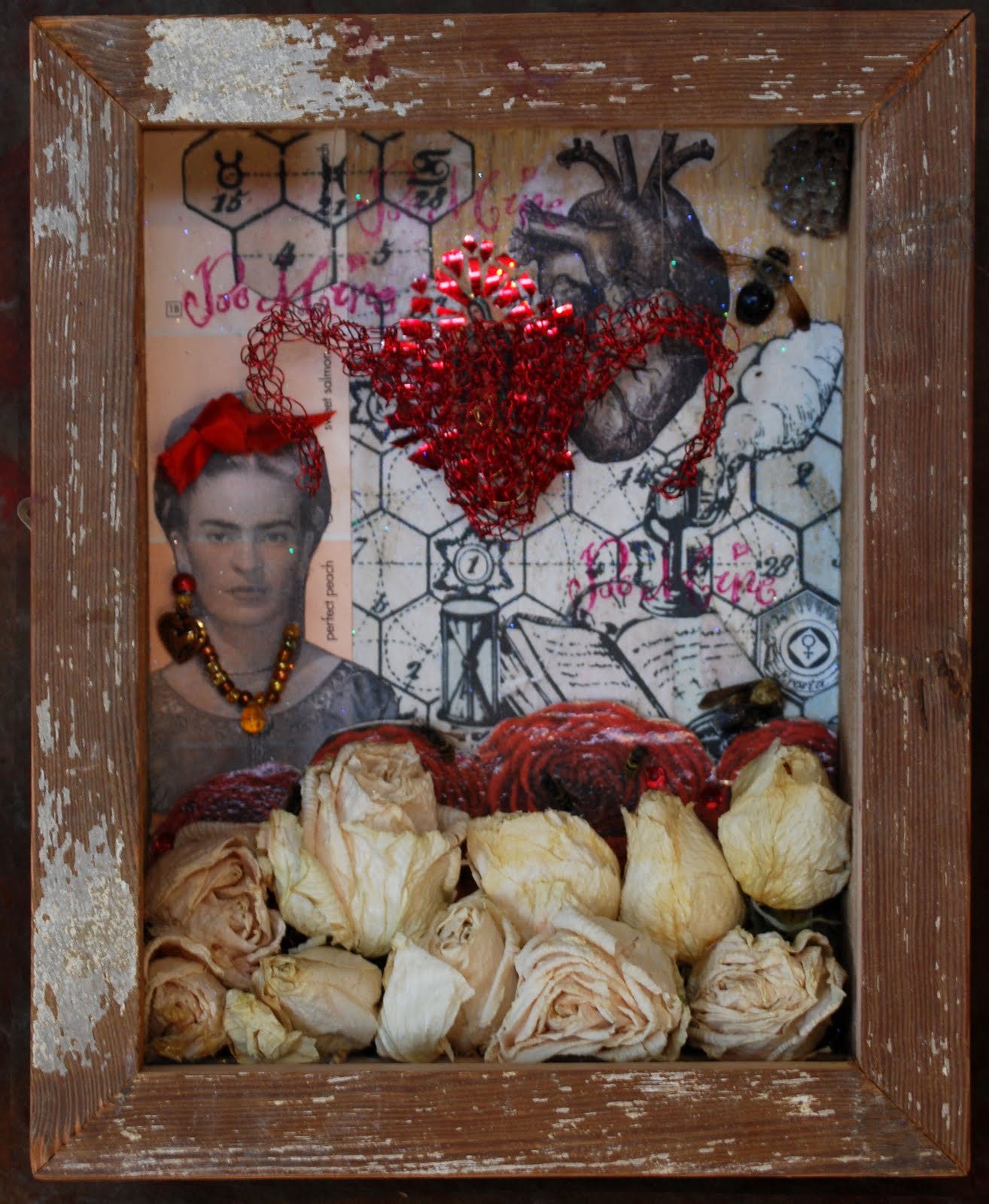 [shadowbox.frida.jpg]