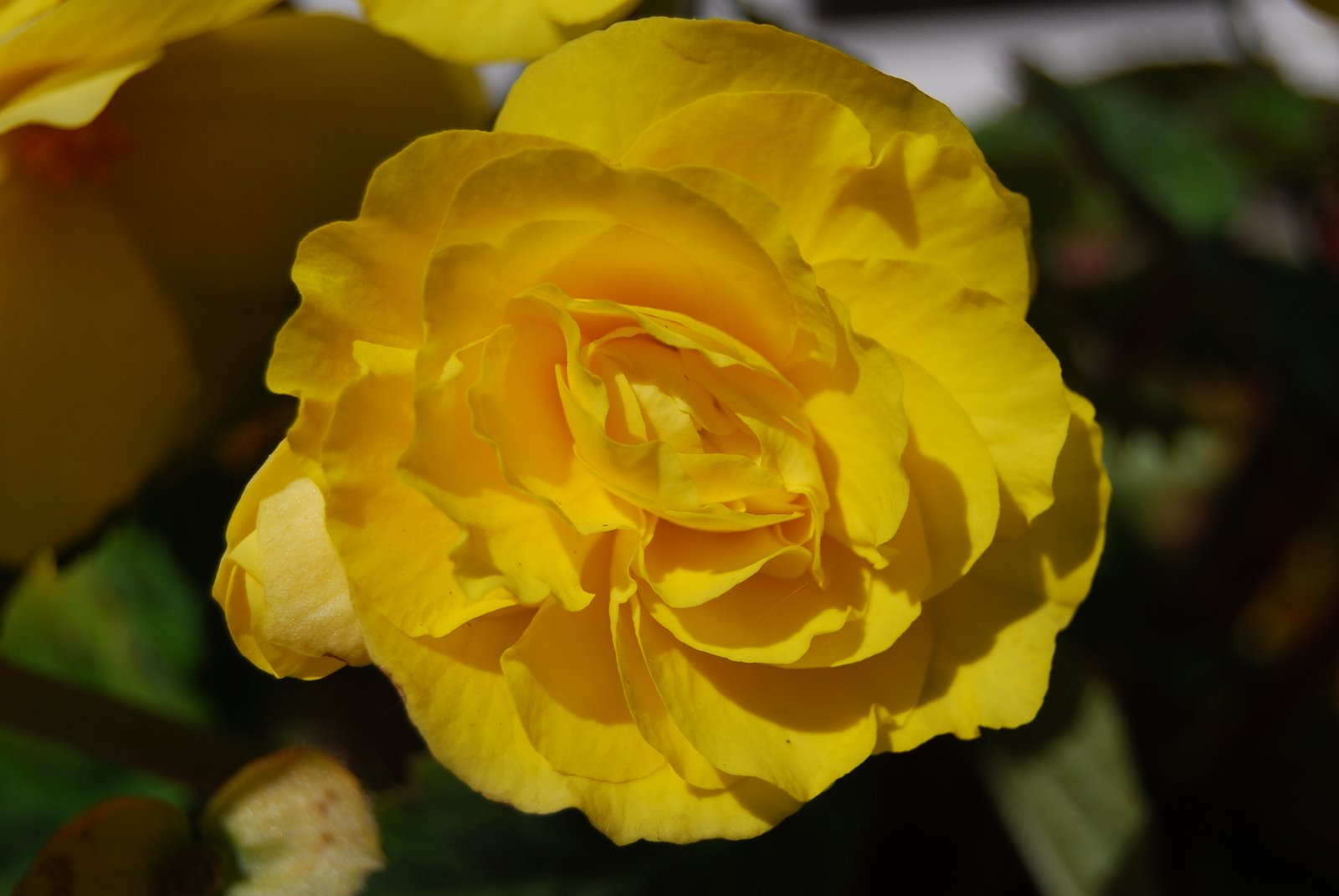 [DSC_0570.JPG]