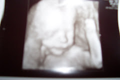 Here I am!  I am even better up close!