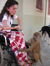 "carino e coccoloso"