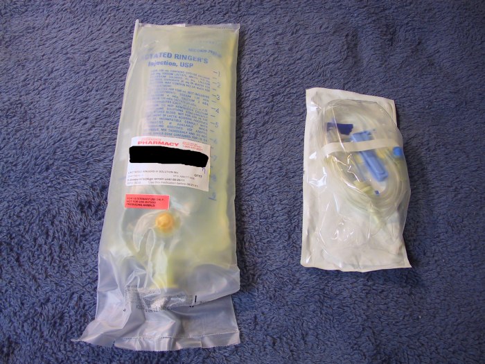 Me & Simone Surviving Chronic Renal Failure Hydration Part 1 Preparing a SubQ Bag