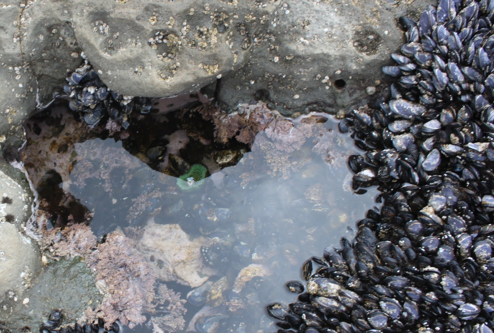 Spring Lake Victoria Reveals Secrets Found Beneath Its Still Surfaces