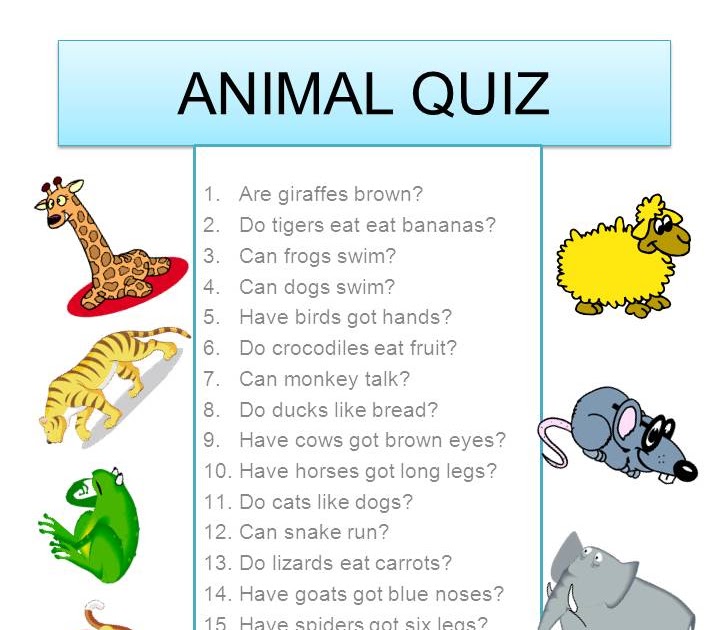 What do these eat. Questions about animals for children. Детский Quiz for children.