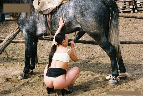 Sex Met Paarden 37