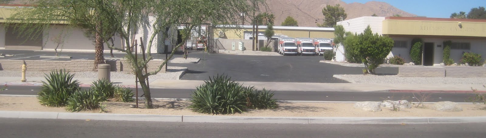 positively-palermo-journal-of-a-palm-springs-community-indian-canyon
