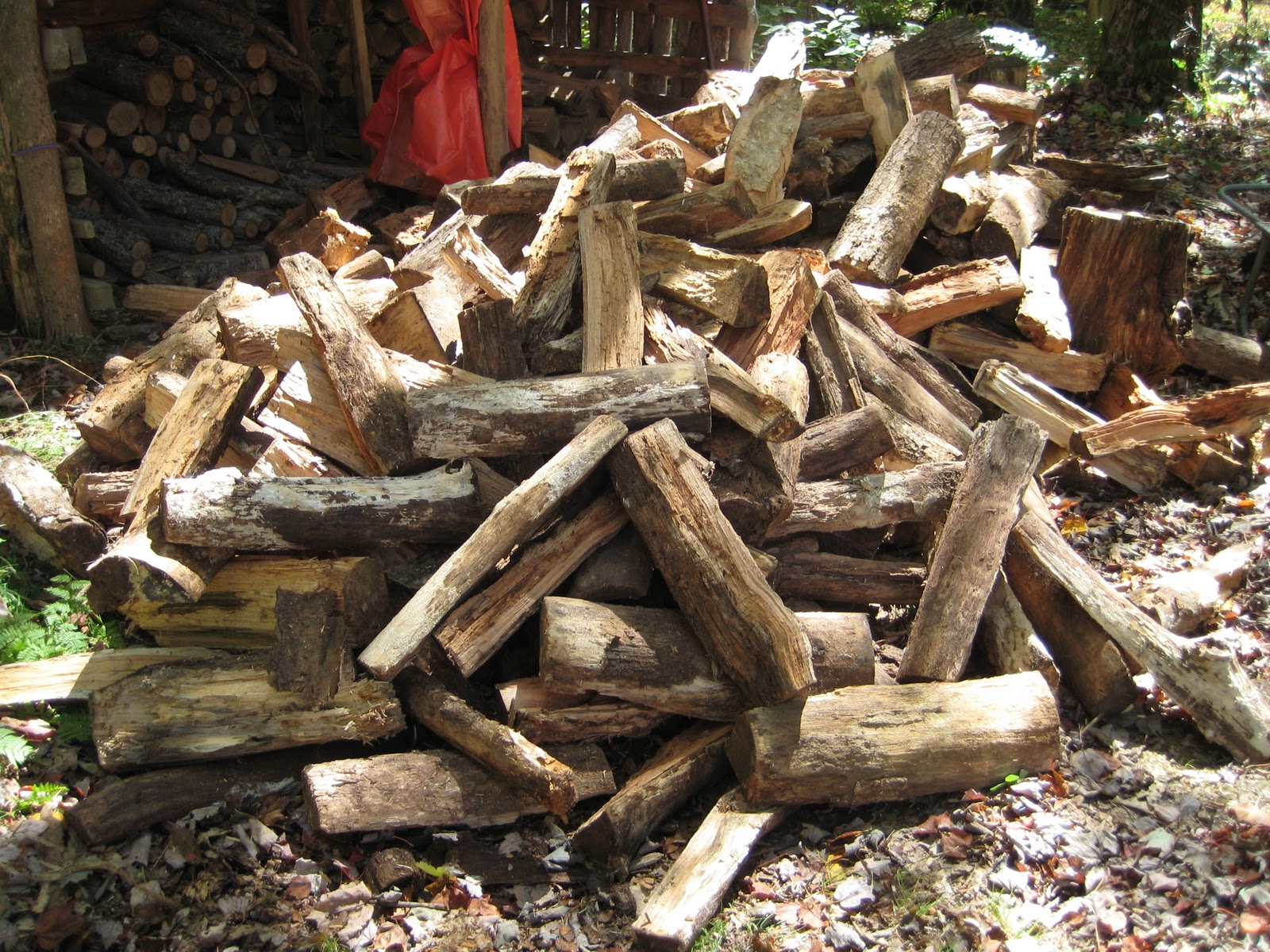 The Director's Cut Chopping wood