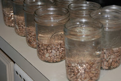 beans canning pressure homemaking heather canner pinto dried canned soaking way method too many jars bean