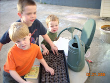 Boys Gardening Attempt