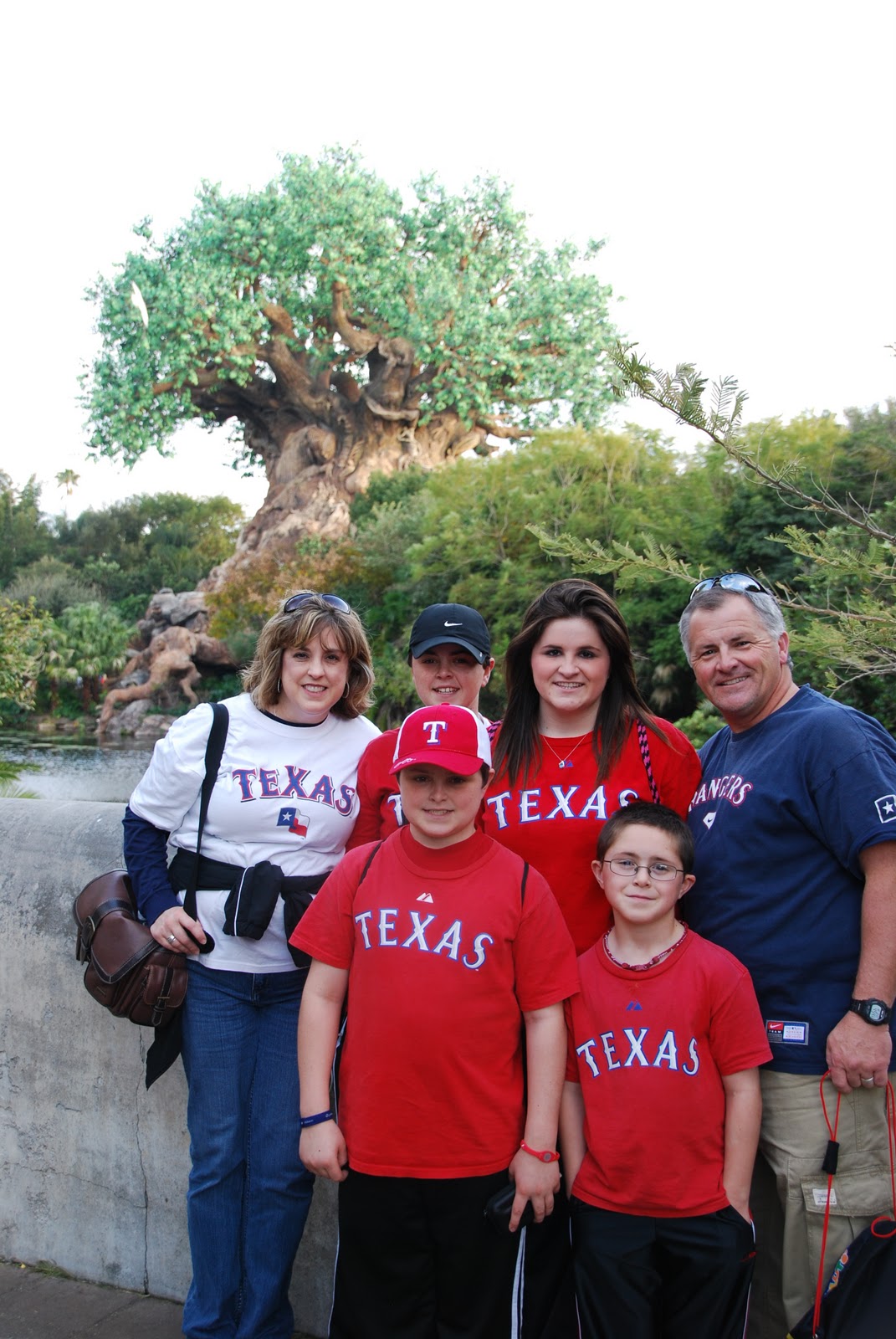 Shine Like Stars Top Ten Tips for Walt Disney World