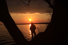 Sunset Silhouette