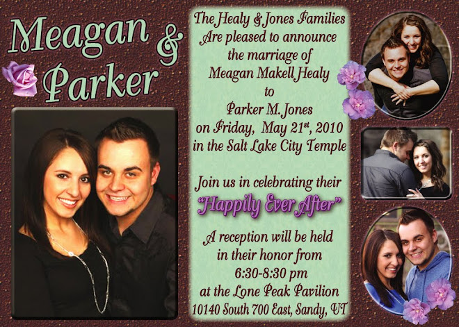 Meagan Healy Wedding Announcement