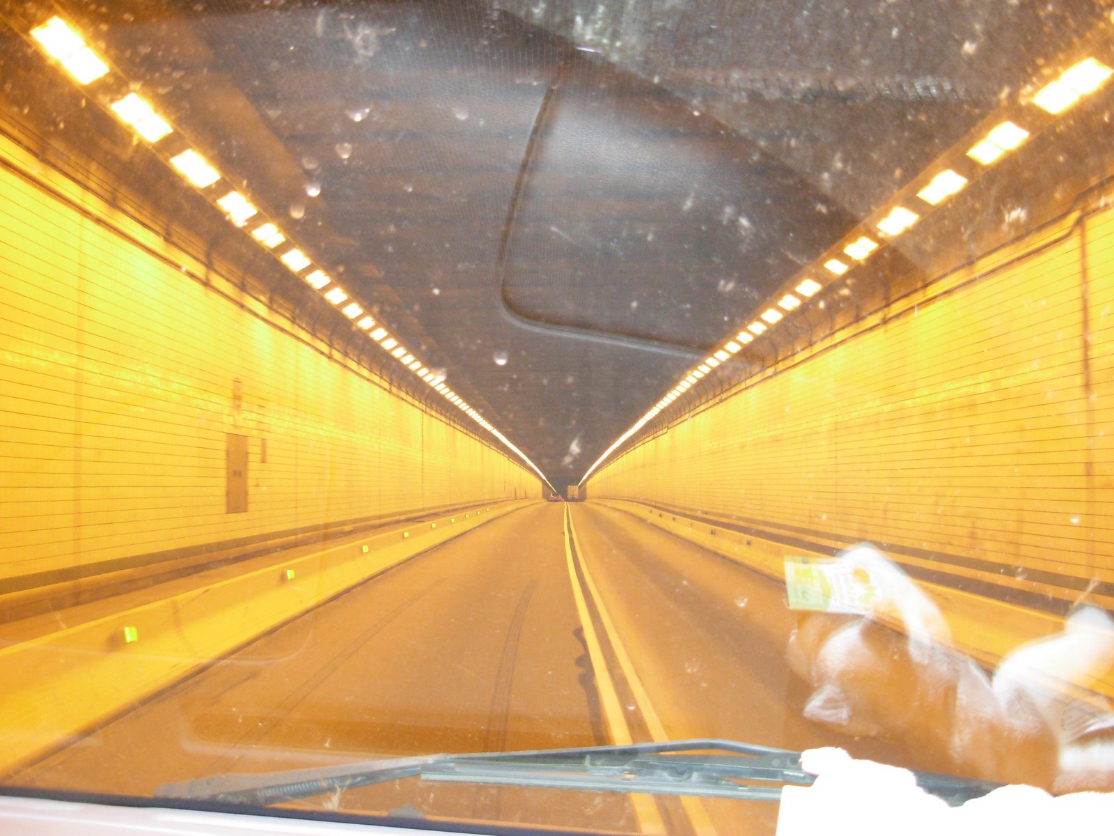 [tunnels2.JPG]