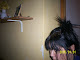 Mi foto