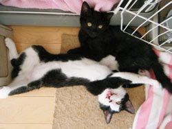 [fl20100123box[1].jpg]