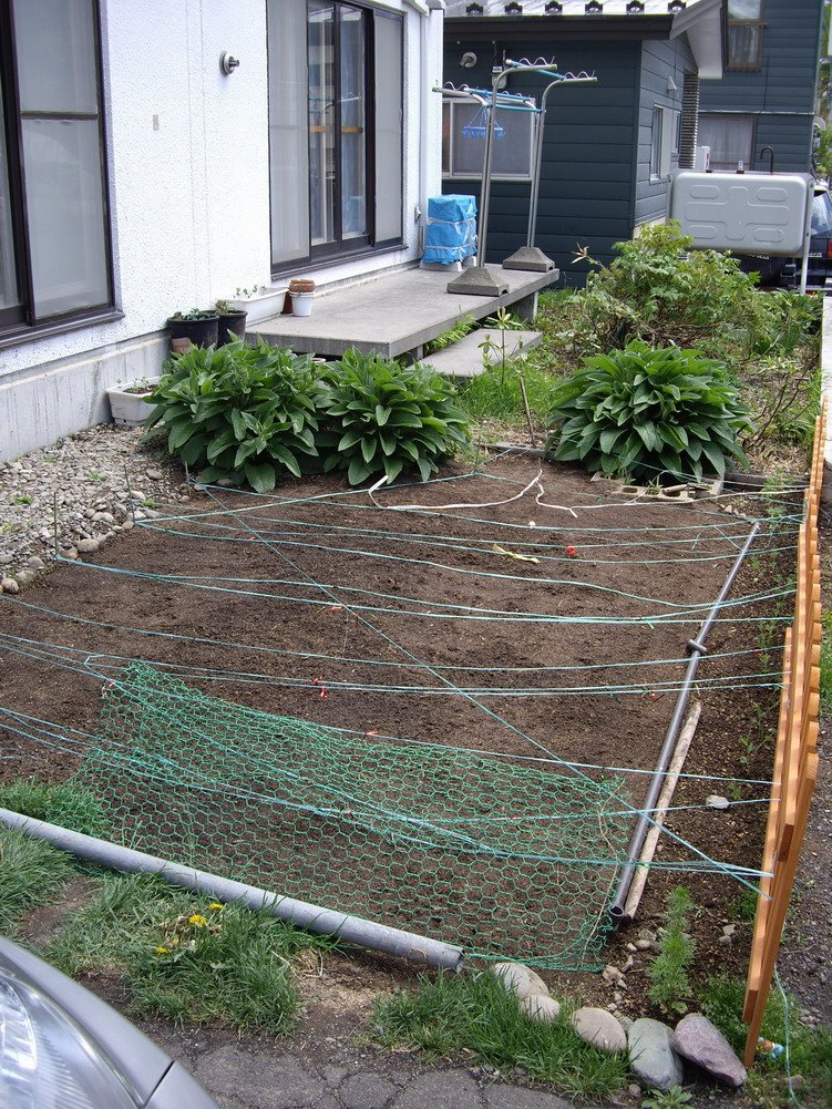 [IMGP1215.jpg]