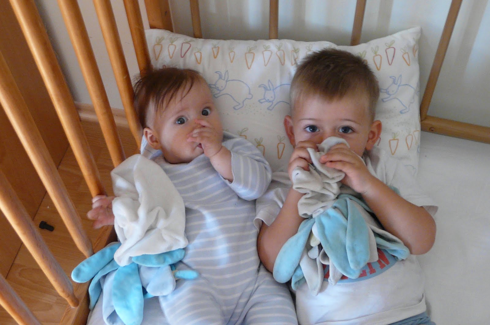 Camille et au pays des kangourous 09/2010