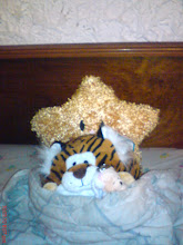 Gatito Gordo! *W*
