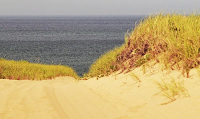 Race Point dunes