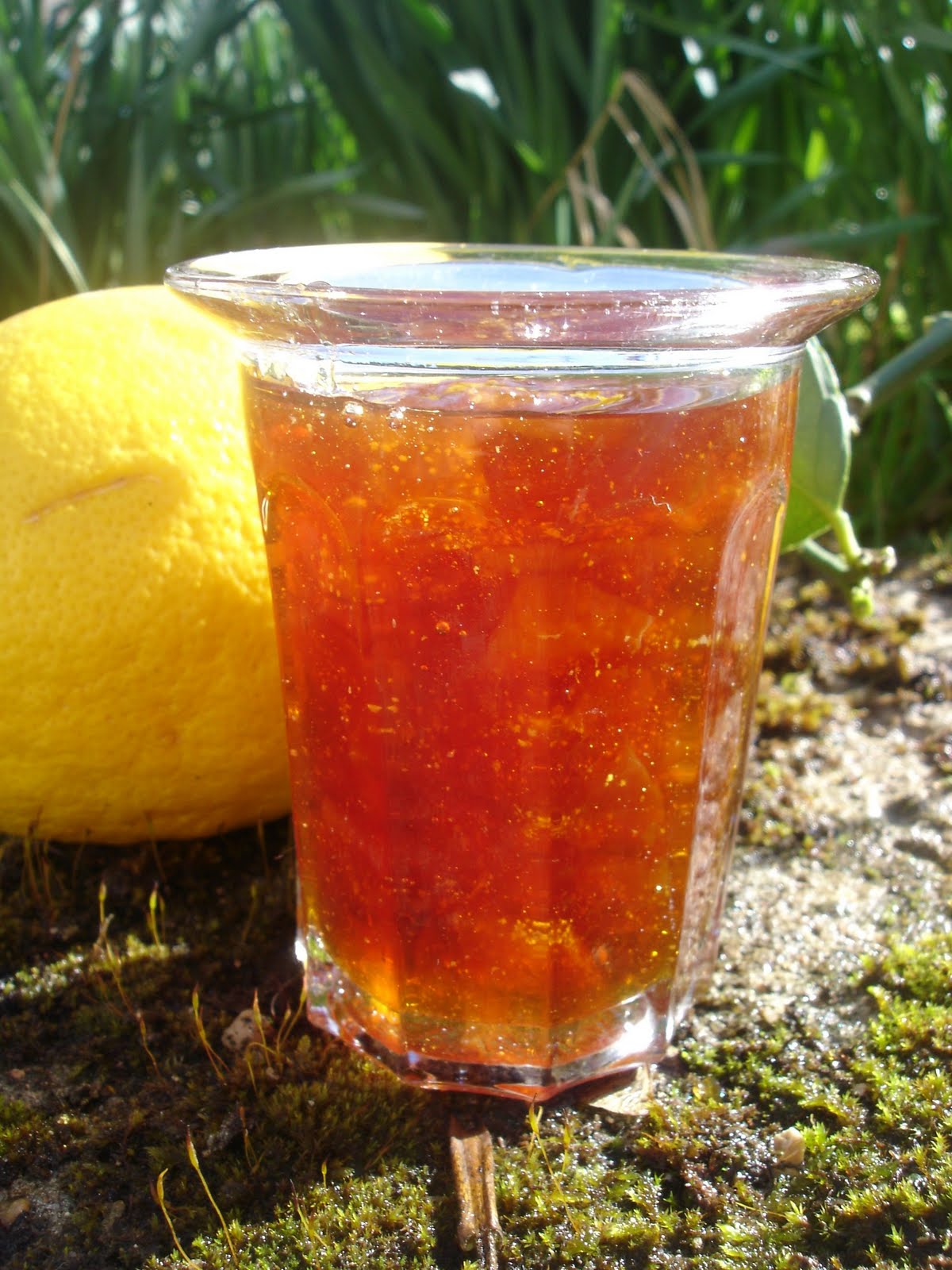 [marmelade+citron1.jpg]