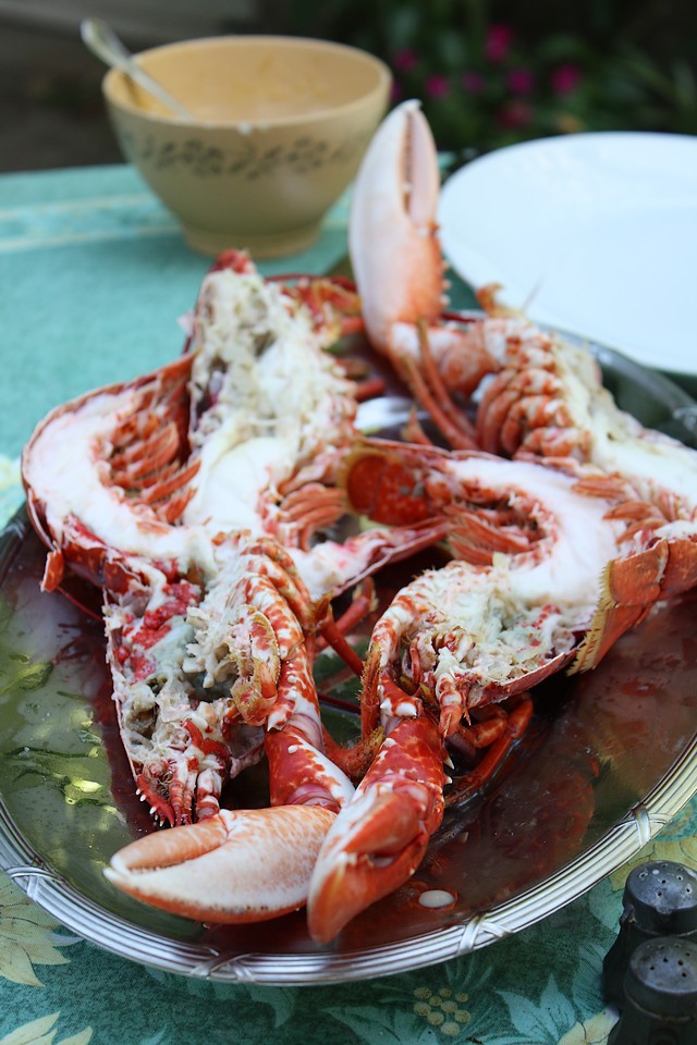 [Homard+Lebreton+2.jpg]