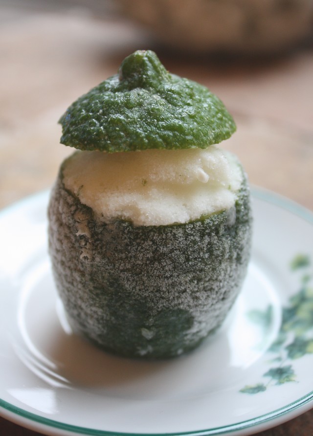 [citron+vert+givre.jpg]