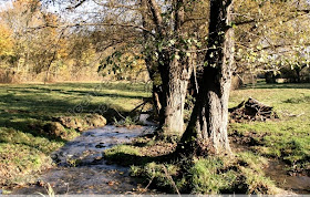 Maison tellier essay picture