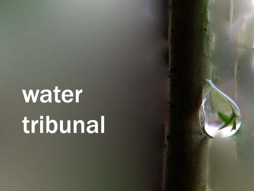 Water Tribunal