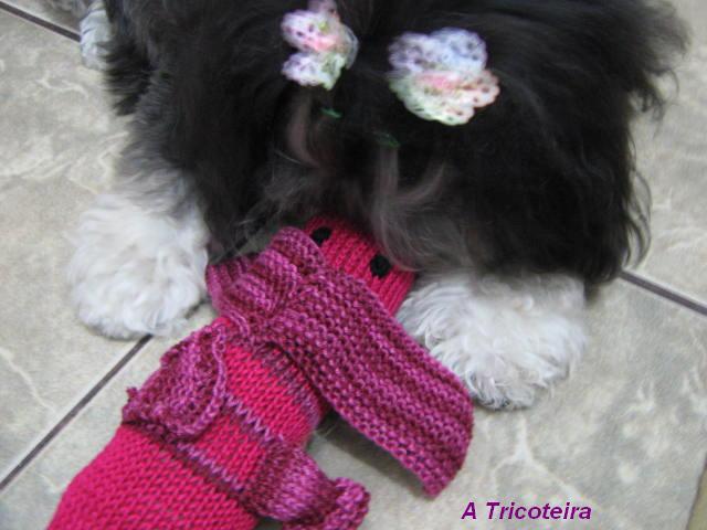 [cachorro+e+meg.JPG]