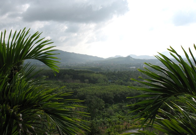 [phuket-view-1.jpg]