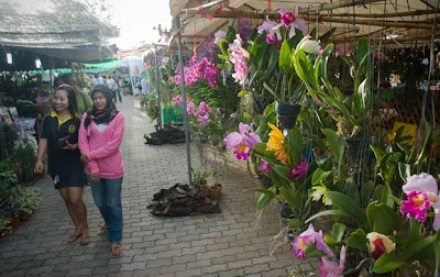 Phuket Flower Fair