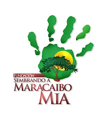 FUNDACION SEMBRANDO A MARACAIBO MIA