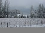 Howell Mountain Winter