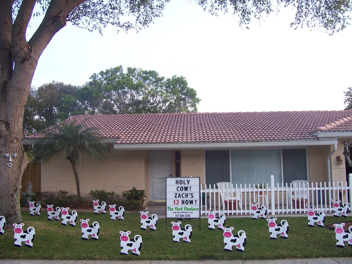 *THE YARD FLOCKERS* Pinellas County, Fla 7274095590 WWW