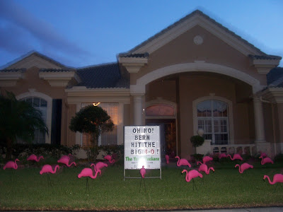 *THE YARD FLOCKERS* Pinellas County, Fla 727-409-5590 WWW