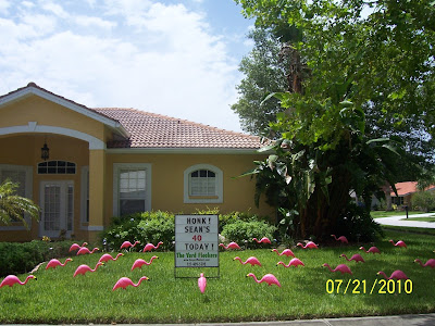 *THE YARD FLOCKERS* Pinellas County, Fla 727-409-5590 WWW