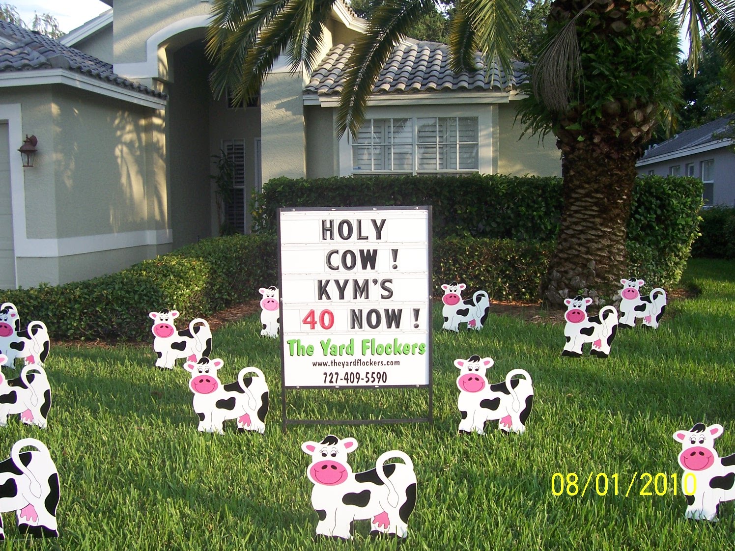 *THE YARD FLOCKERS* Pinellas County, Fla 7274095590 WWW