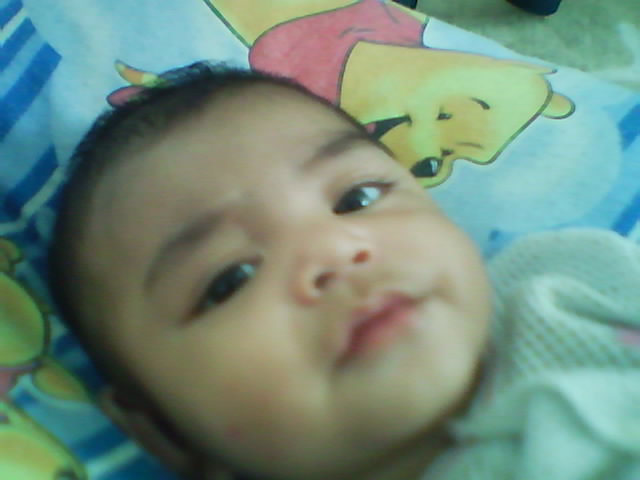 MOHD HAFIZIN FAHMI