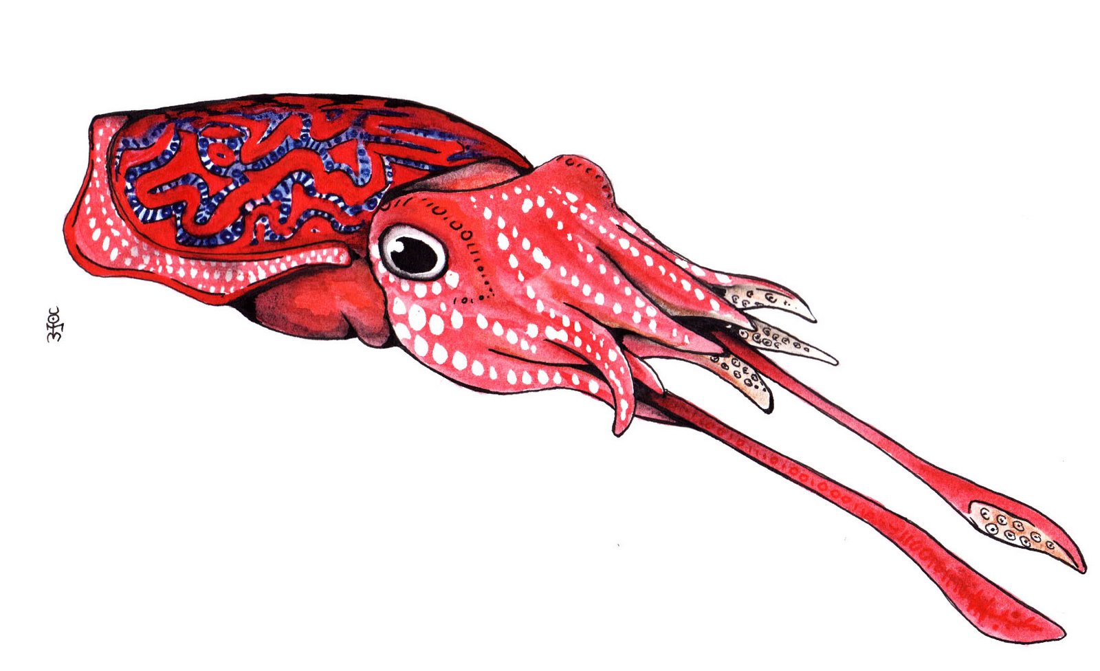 [digital+cuttlefish.jpeg]
