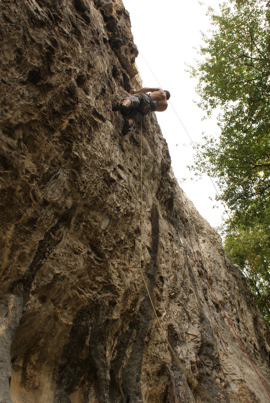 [DSC06363.JPG]