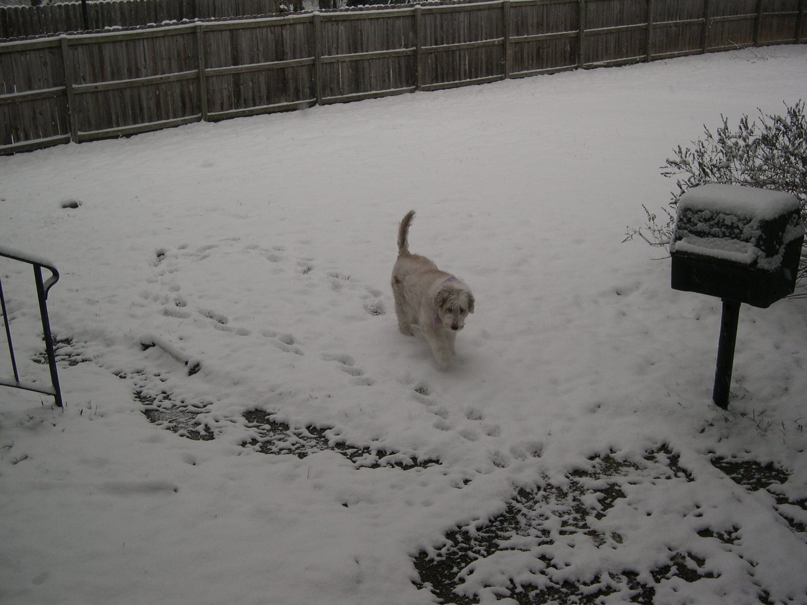 [I'm+coming+in!.jpg]