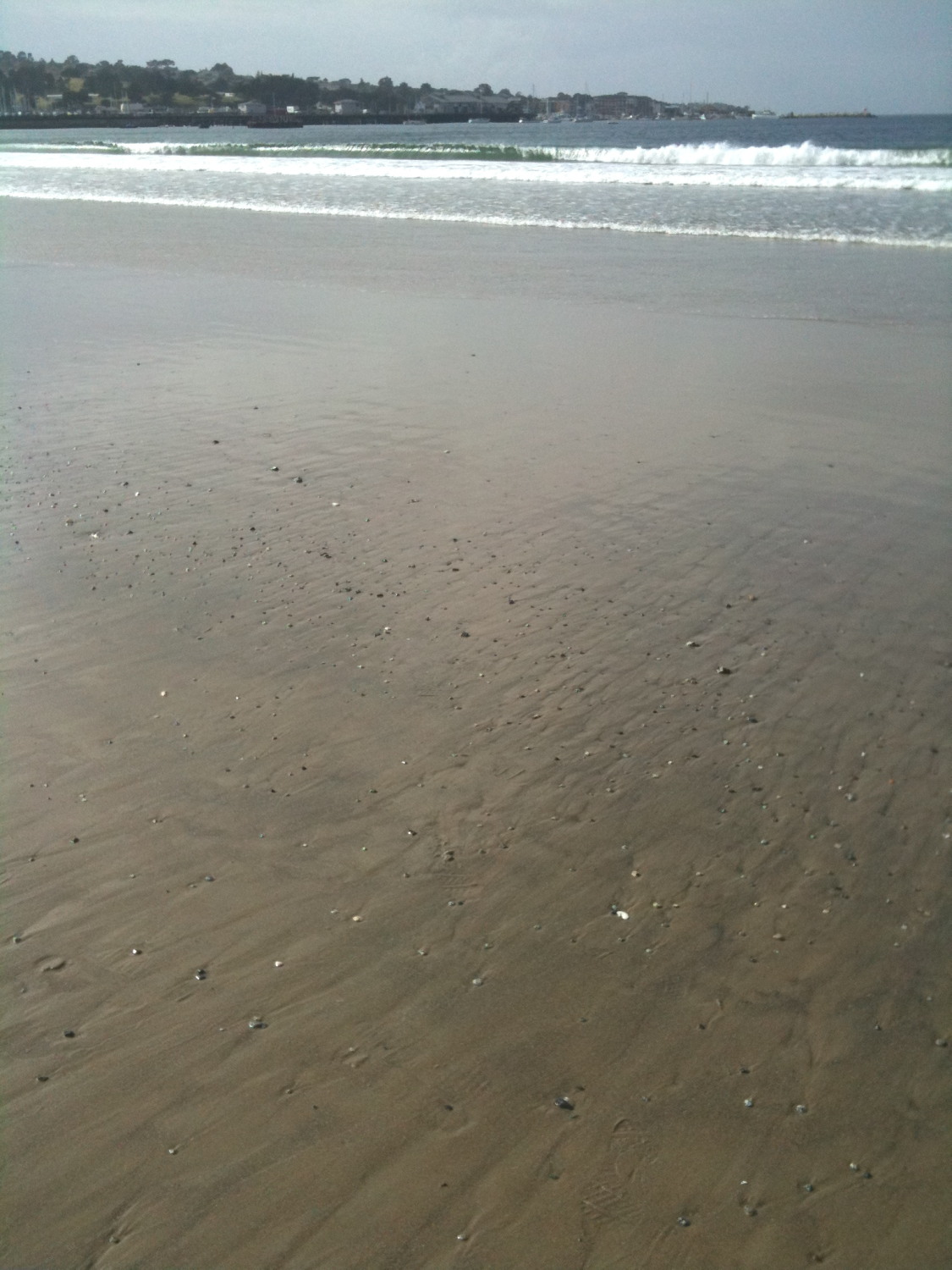 Everything Coastal The Search for Beach Glass at Monterey Bay