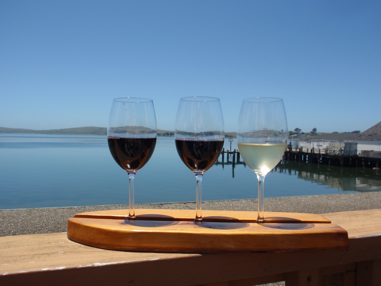 Everything Coastal Bodega Bay Wine Tasting