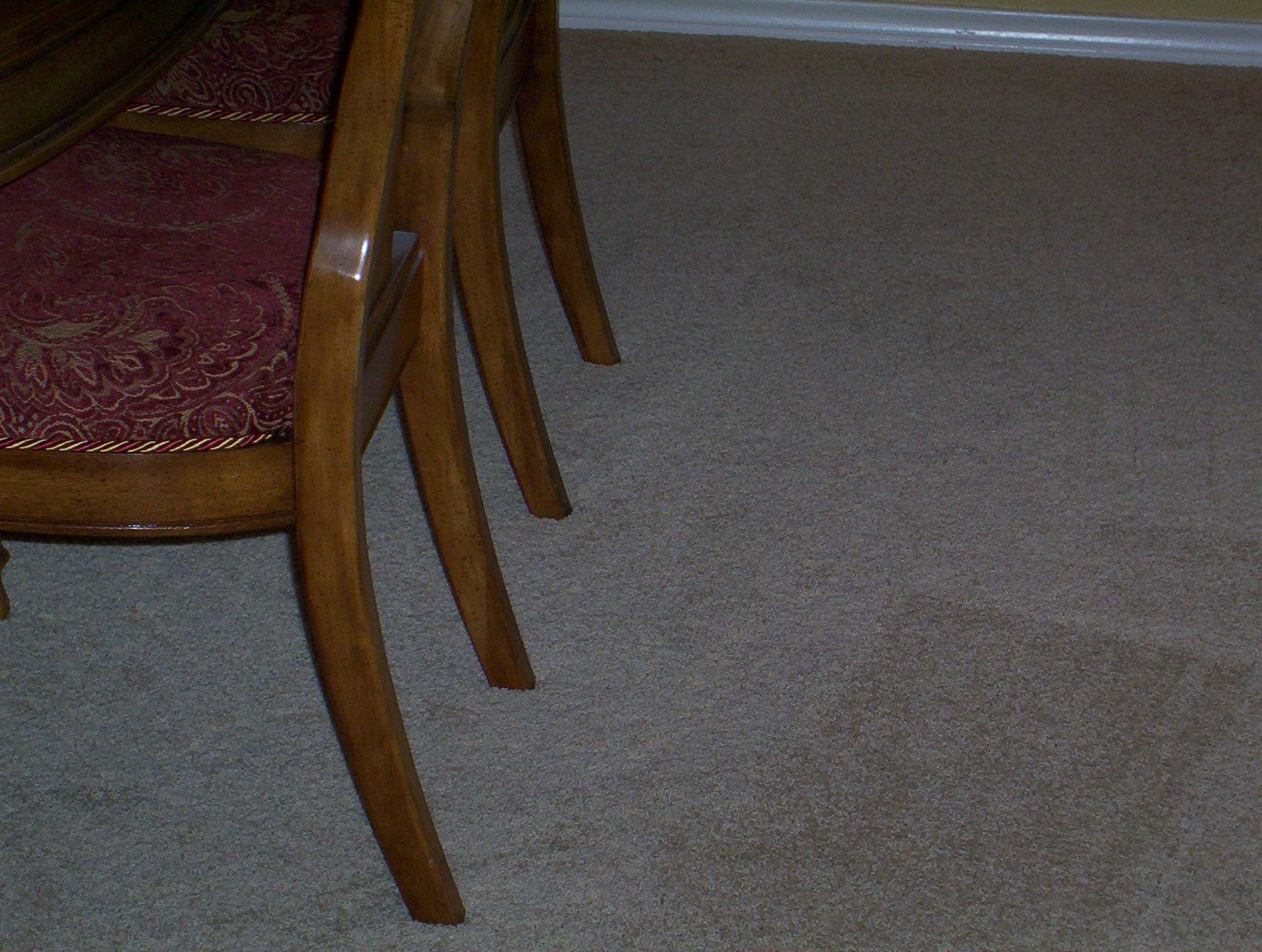 [New+Carpet+006.jpg]