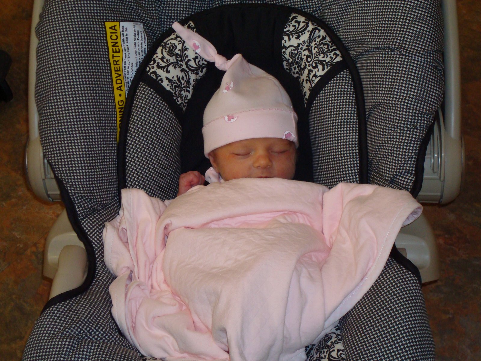 [DSC00823.JPG]