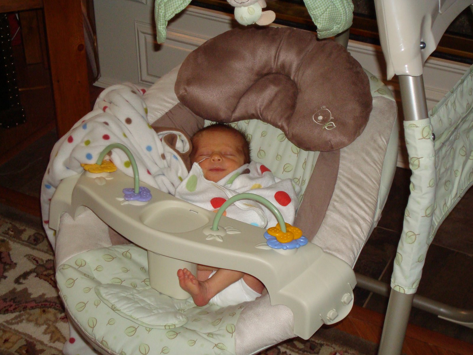 [DSC00890.JPG]