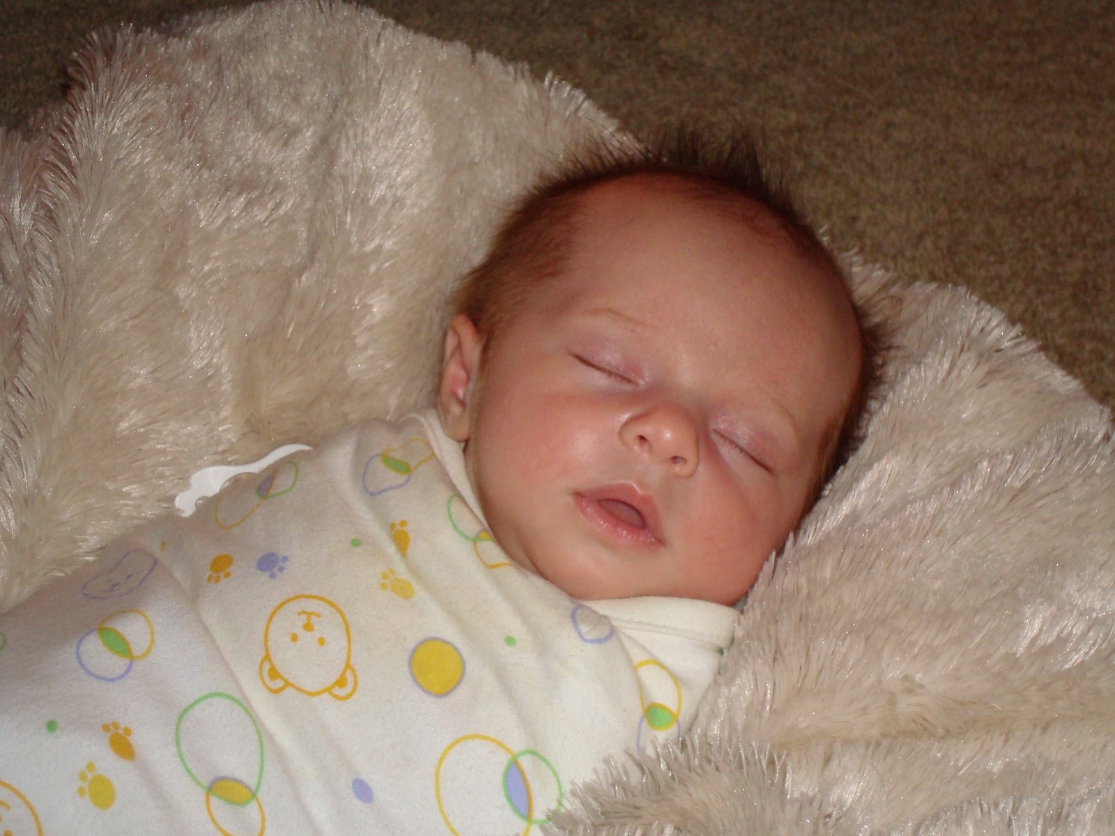 [DSC01172.JPG]