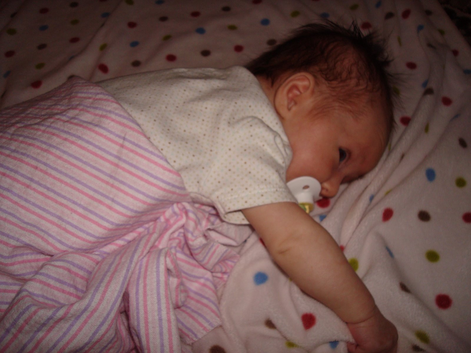 [DSC01176.JPG]