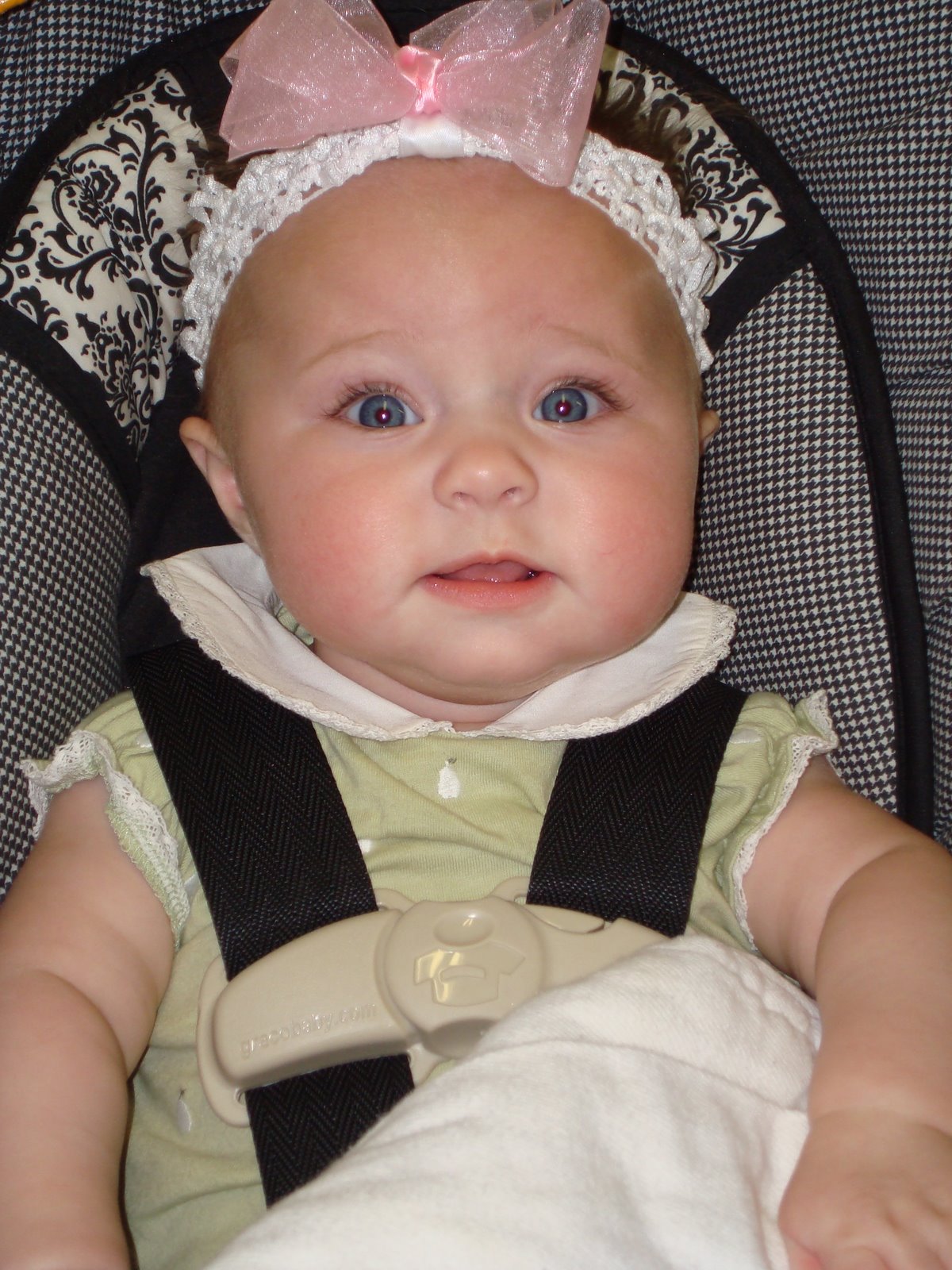 [DSC01904.JPG]