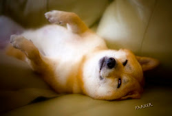 Nap Time